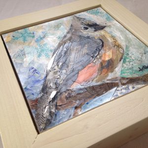 Tufted Titmouse